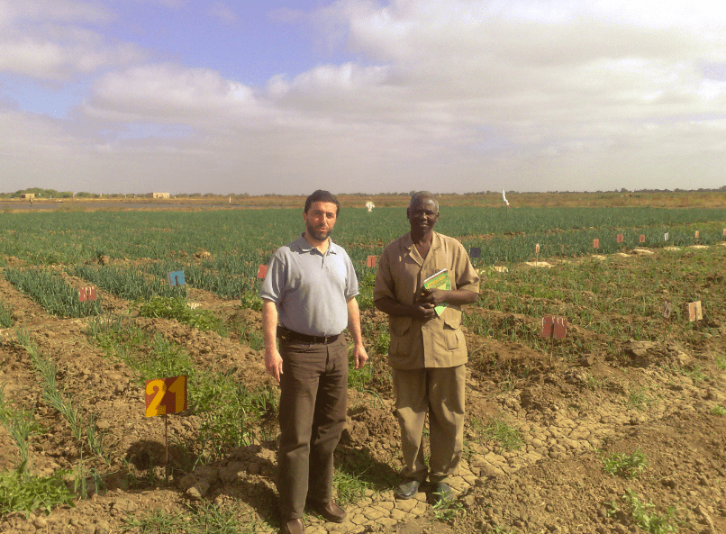 Agricole min - pyrolysis