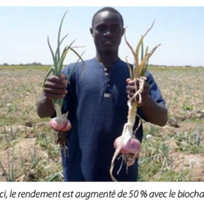 Capture decran 2022 04 22 a 12 52 06 min - pyrolysis