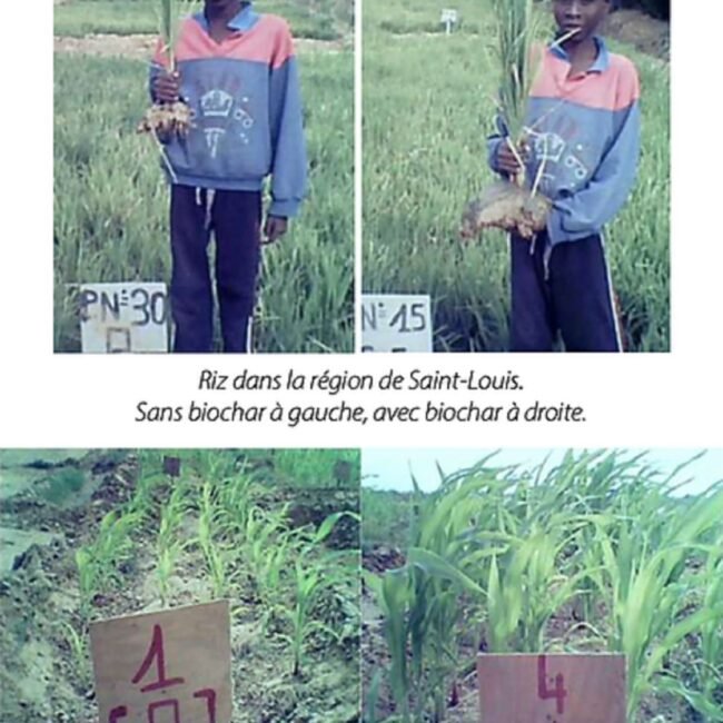 Capture decran 2022 04 22 a 13 01 48 min - pyrolysis