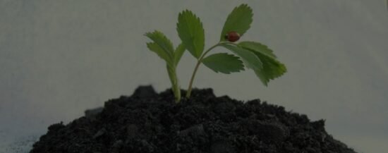 Post 07 opac min - pyrolysis