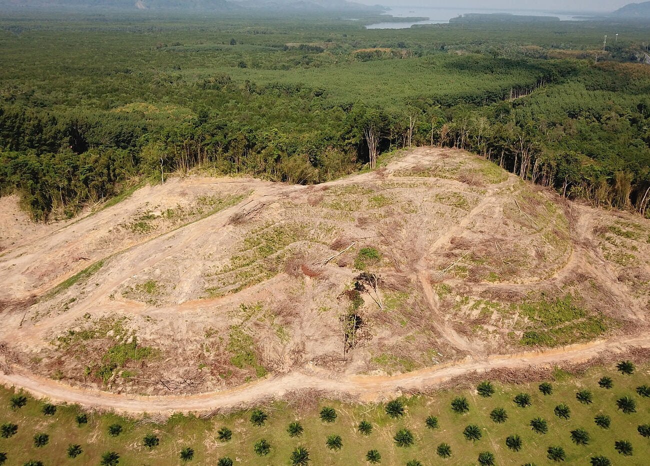 c8cb5f 72dfac1f8e9940c0ab42ed8d731725b5mv2 - pyrolysis